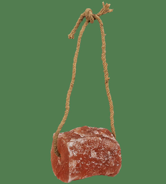 Himalayan Salt Horse lick on a rope